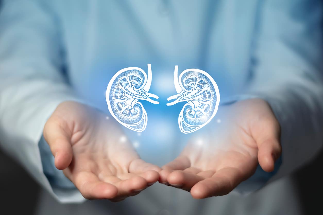 Plasma Exchange Therapy for Kidney Disease