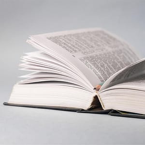Dictionary