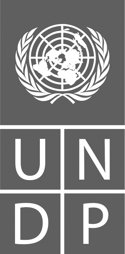 UNDP logo