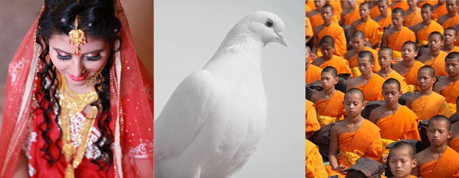 Color Across Culture
