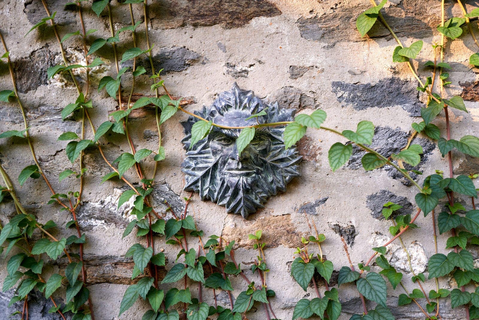 Chestnut Hill Estate