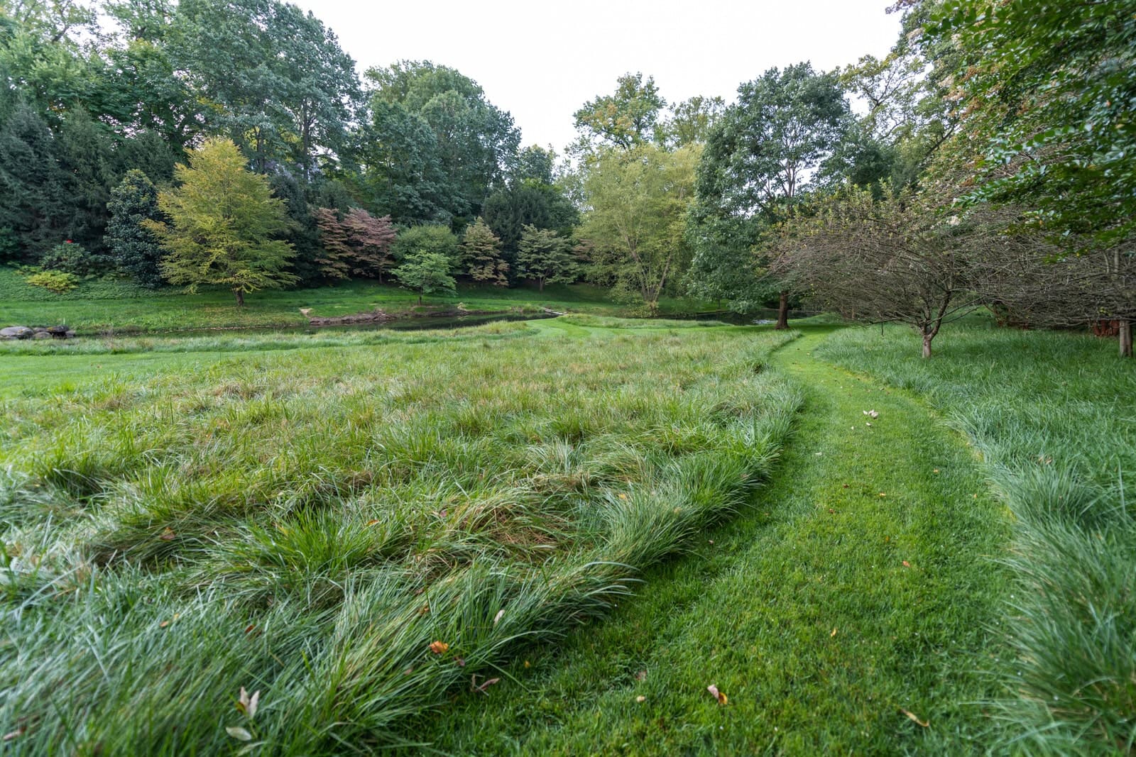 Chestnut Hill Estate