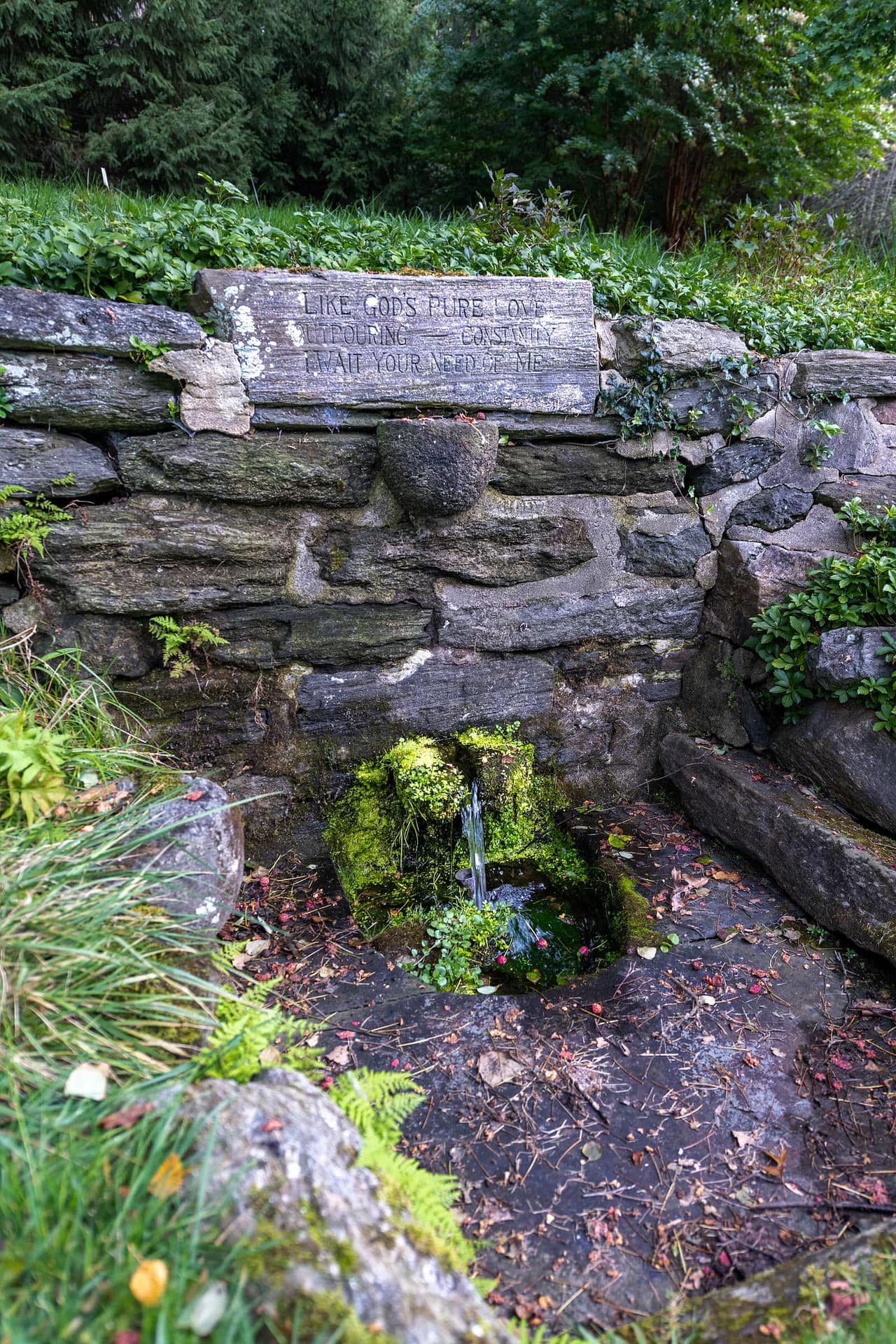 Chestnut Hill Estate