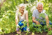 hort therapy for seniors