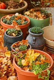 planters surrounded by autumn leaves