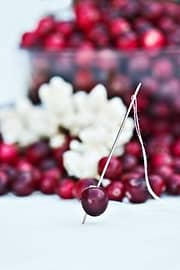 christmas garland