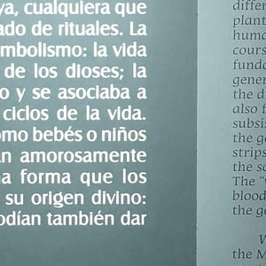 Multilingual Exhibit Labels