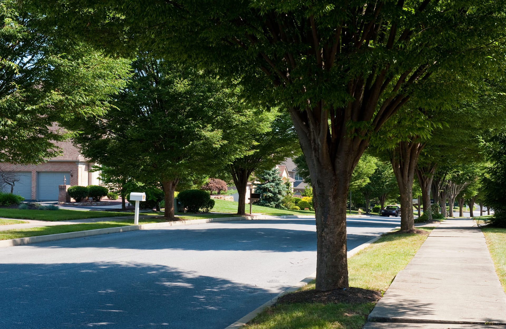 Estates at Trexler Park