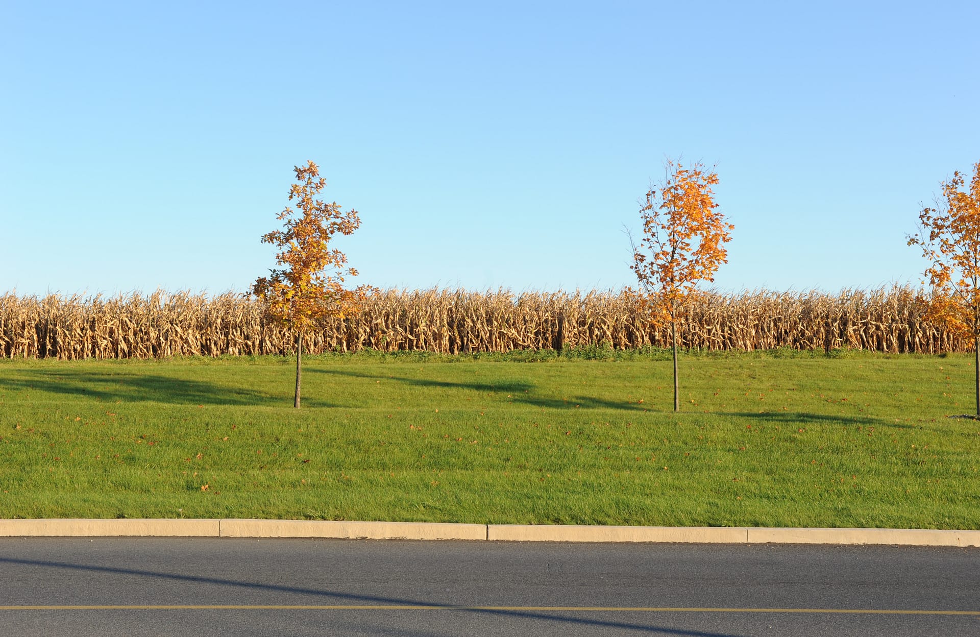 Hanover Corporate Center + Monocacy Farms
