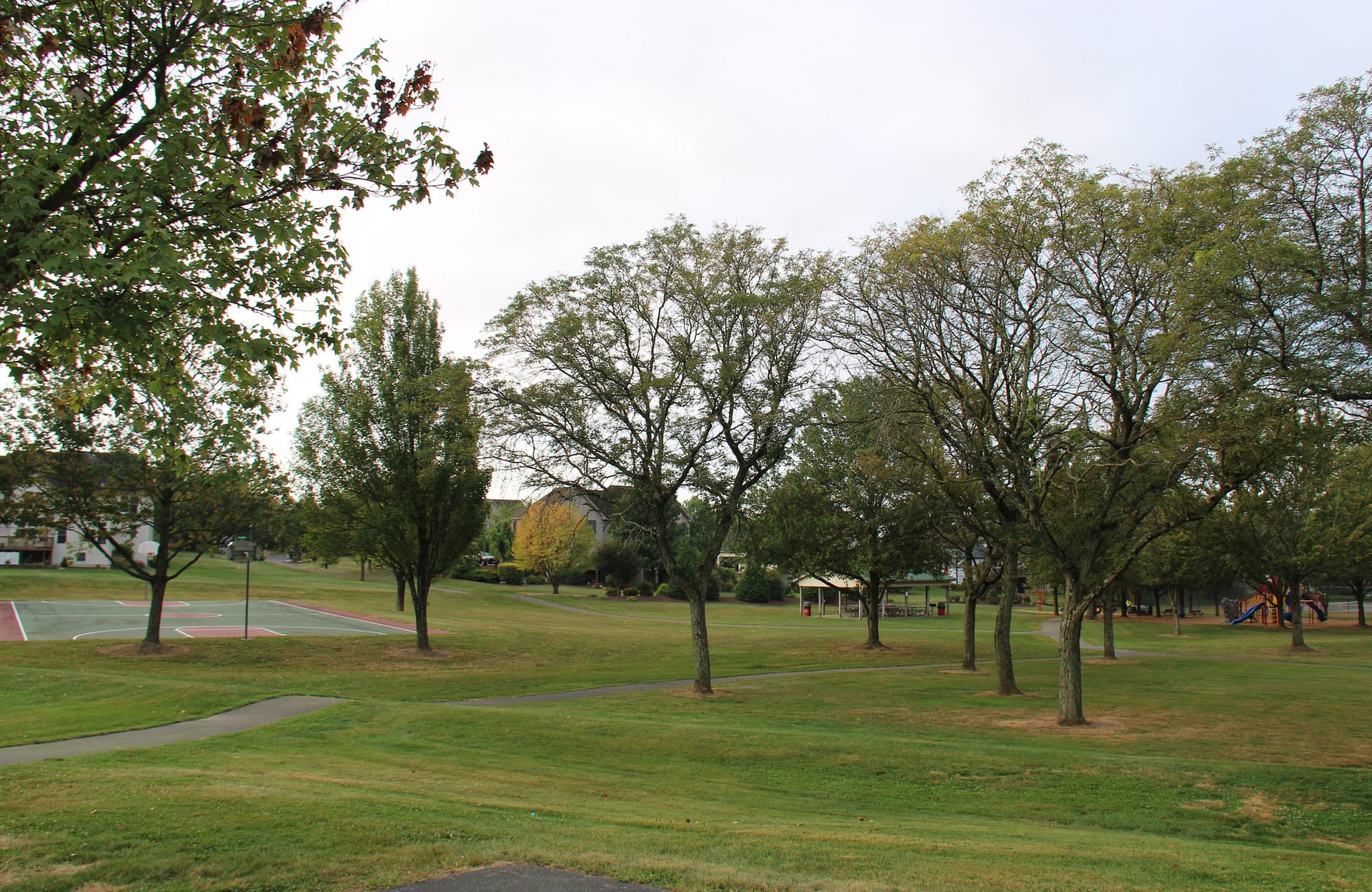 Vistas at Green Hills