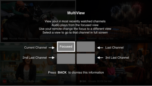 SE STREAM MultiView