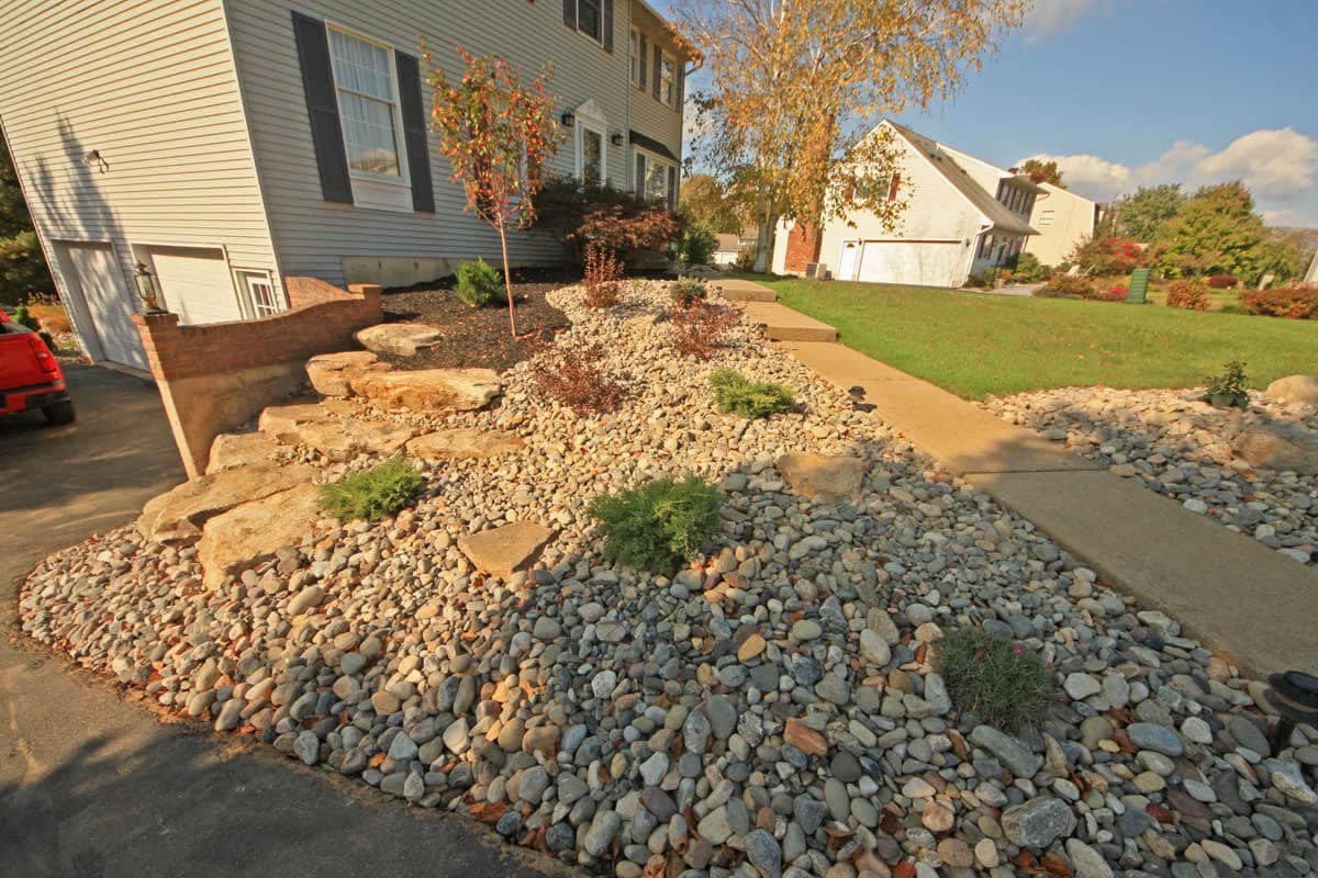 LANDSCAPE TIPS:  Dealing with Problem Areas in Your Yard