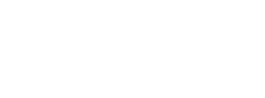 The Petrucci Network